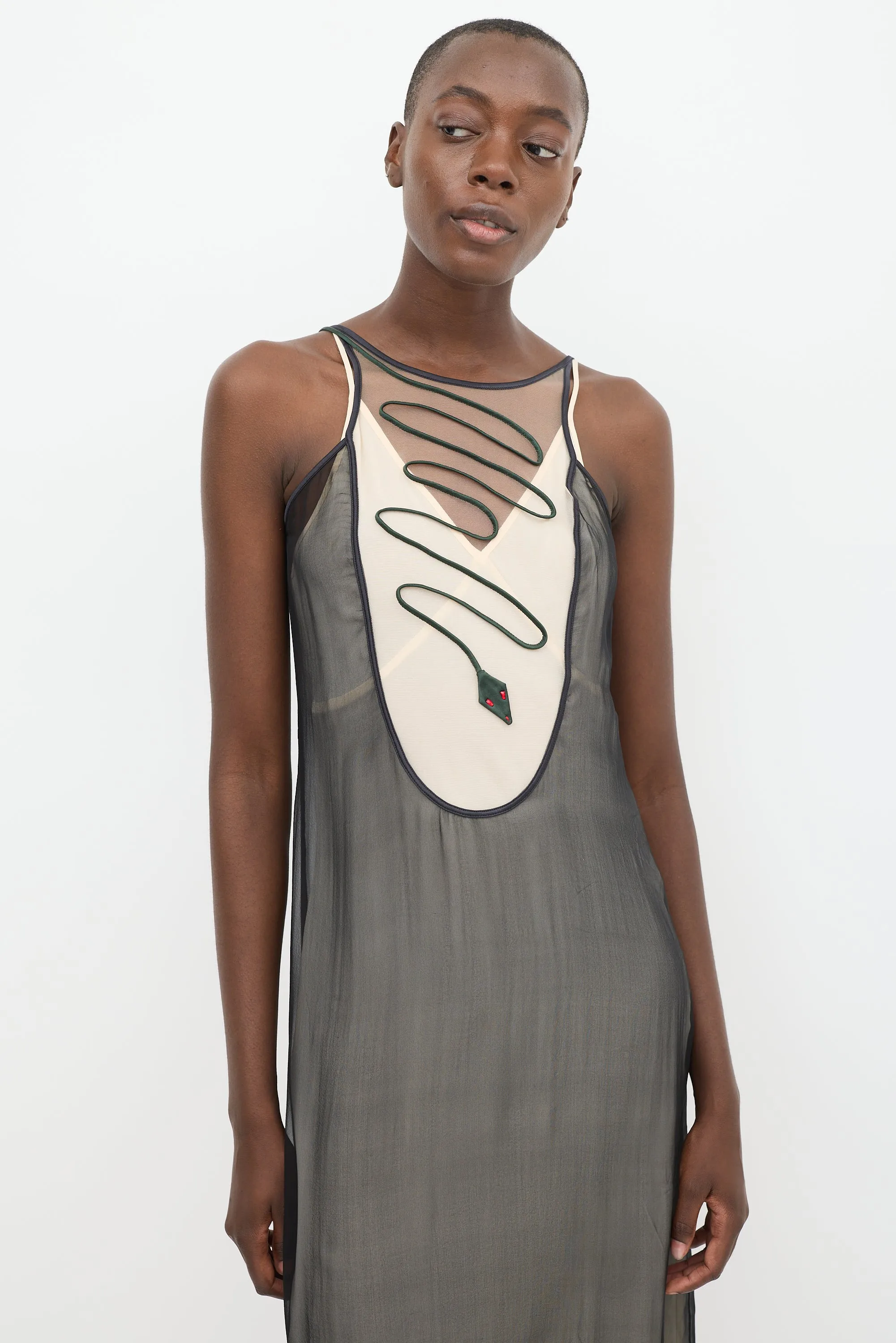 Black & Green Silk Sheer Dress